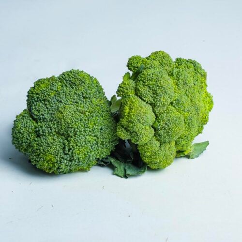 Greenspoon Broccoli Head Ecoscapes