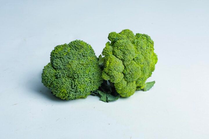 Greenspoon Broccoli Head Ecoscapes