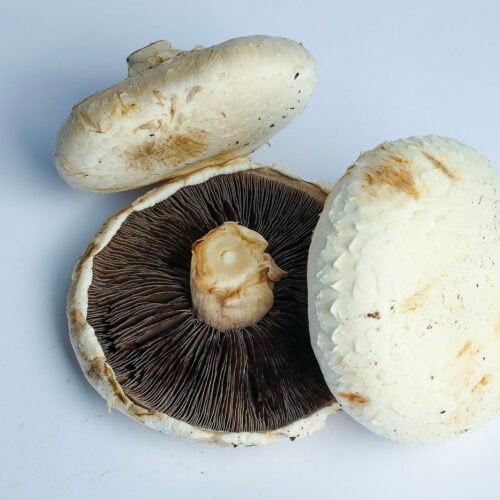 Greenspoon Kenya Flat Mushrooms