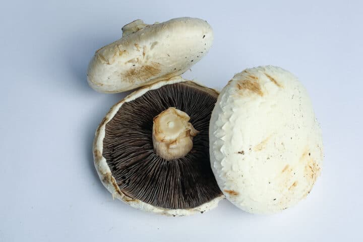 Greenspoon Kenya Flat Mushrooms