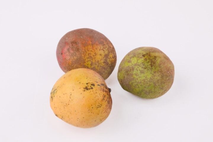 Kibwezi Apple Mango - 1 Piece