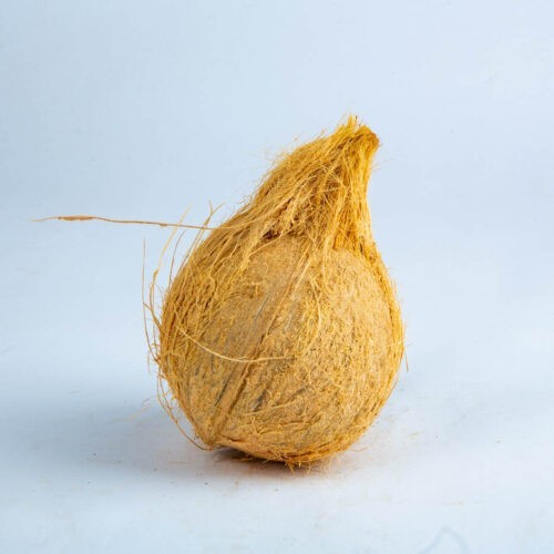 Greenspoon Coconut Kwik Basket