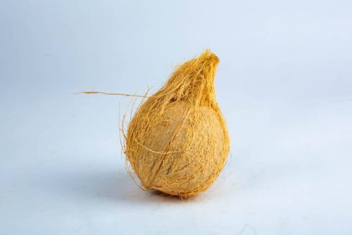 Greenspoon Coconut Kwik Basket