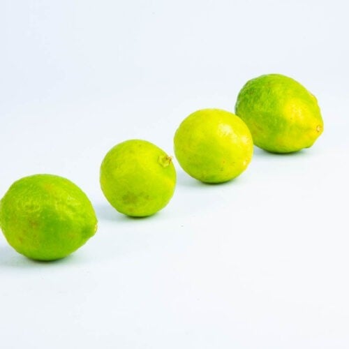 Greenspoon Green Lime Kwik Basket