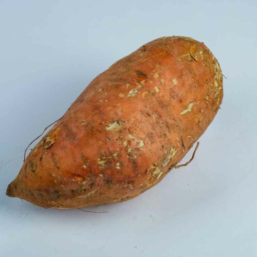 Greenspoon Kenya Orange Sweet Potato