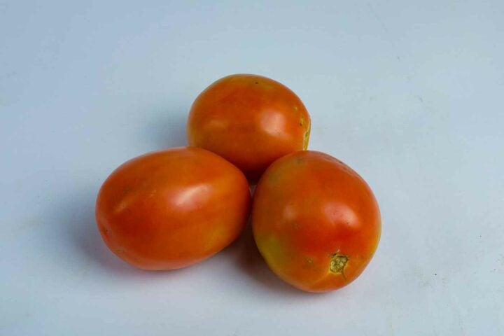 Greenspoon Kenya Tomatoes