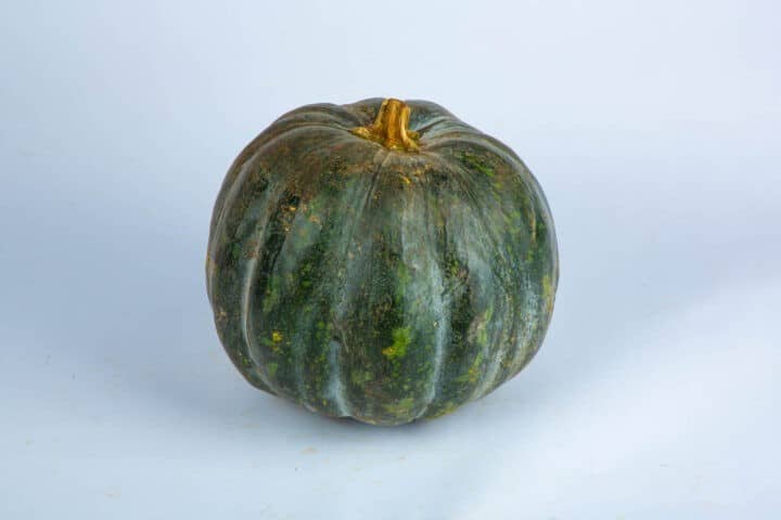 Greenspoon Pumpkin Kwik Basket