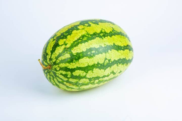 Greenspoon Watermelon Kwik Basket