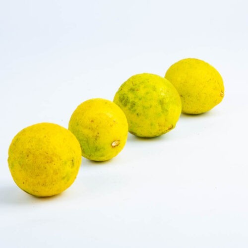 Greenspoon Yellow Lime Kwik Baskets
