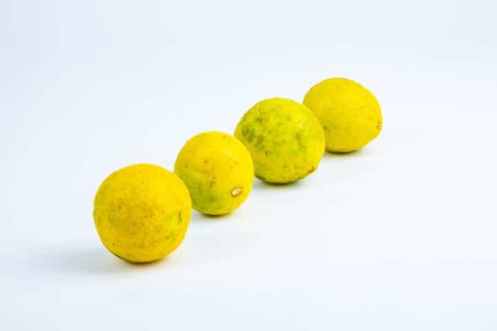 Greenspoon Yellow Lime Kwik Baskets