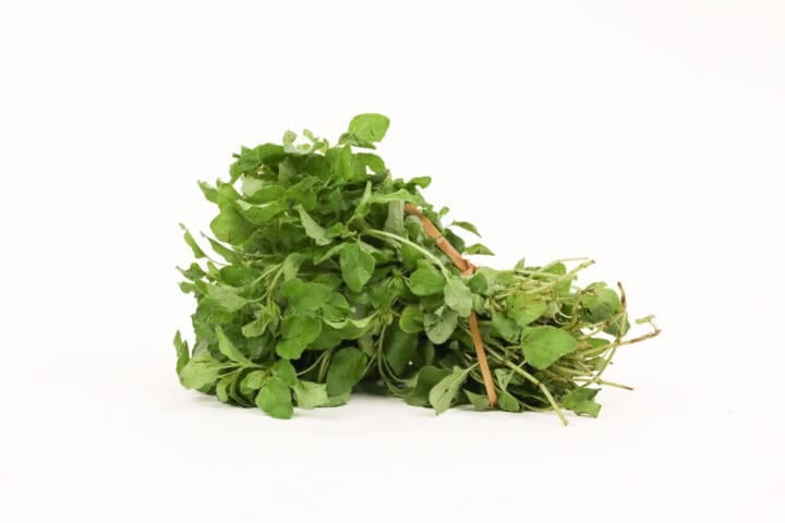 Limuru Oregano - 50g Bunch