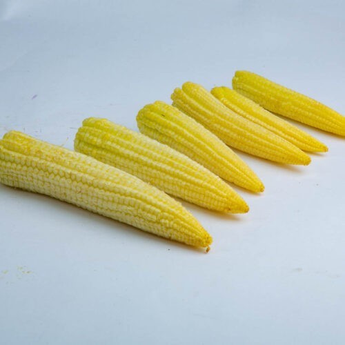 Greenspoon Baby Corns without husk Ecoscapes