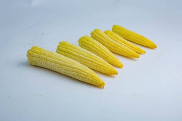 Greenspoon Baby Corns without husk Ecoscapes