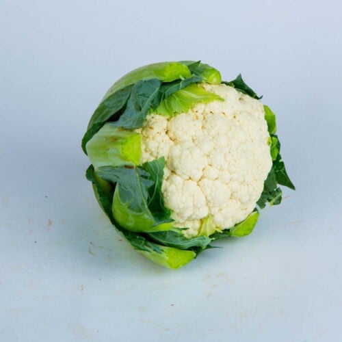Greenspoon Cauliflower Head