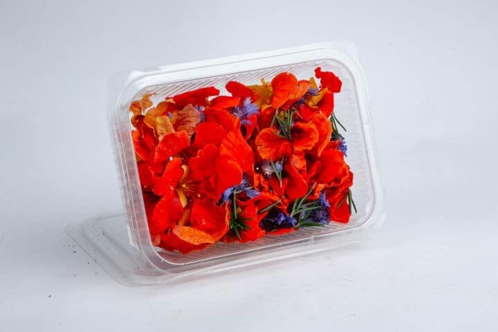 Greenspoon Edible Flowers Ecoscapes