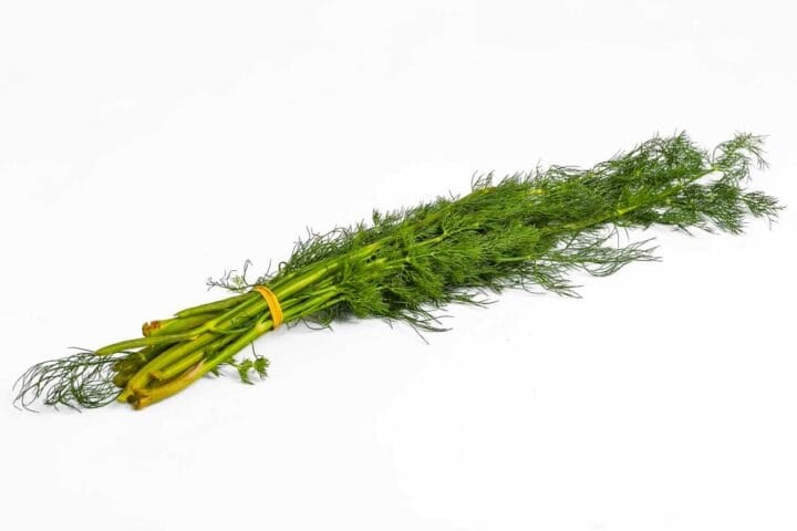 Limuru Dill - 50g (Bunch)