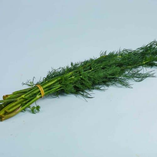 Greenspoon Kenya Dill