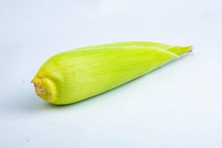 Greenspoon Maize Cob Ecoscapes