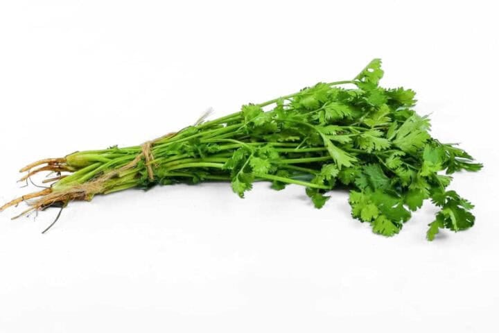 Limuru Coriander (Dhania) Bunch - 50g