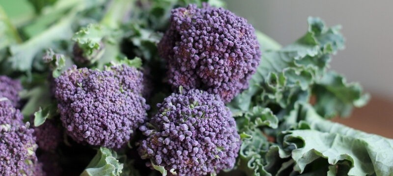 Purple Sprouting Broccoli with Pixie Salad