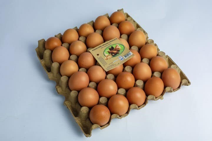 Greenspoon Tray of Organic Eggs Karen Fork