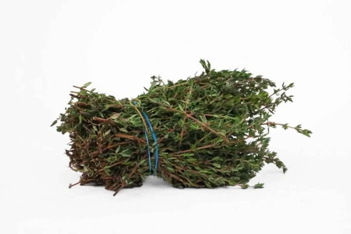Limuru Thyme - 50g Bunch