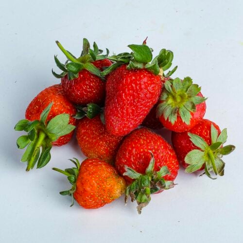 Greenspoon Kenya Strawberries