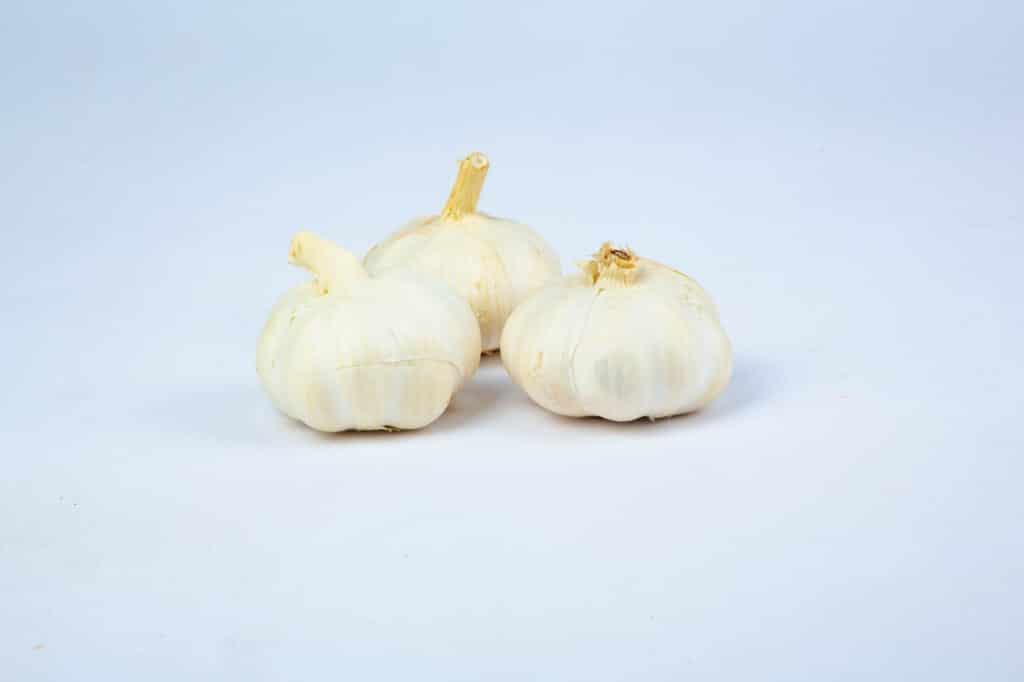 garlic with green stem