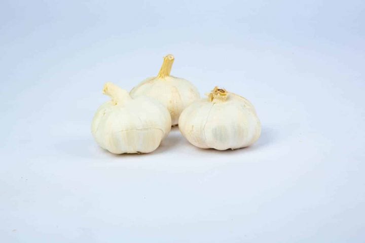 Greenspoon Imported Garlic