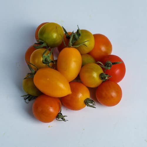 Greenspoon Kenya Cherry Tomatoes
