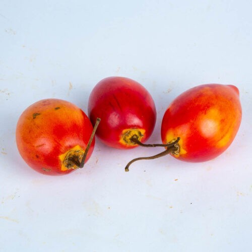 Greenspoon Tree Tomato