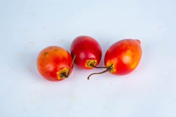 Greenspoon Tree Tomato