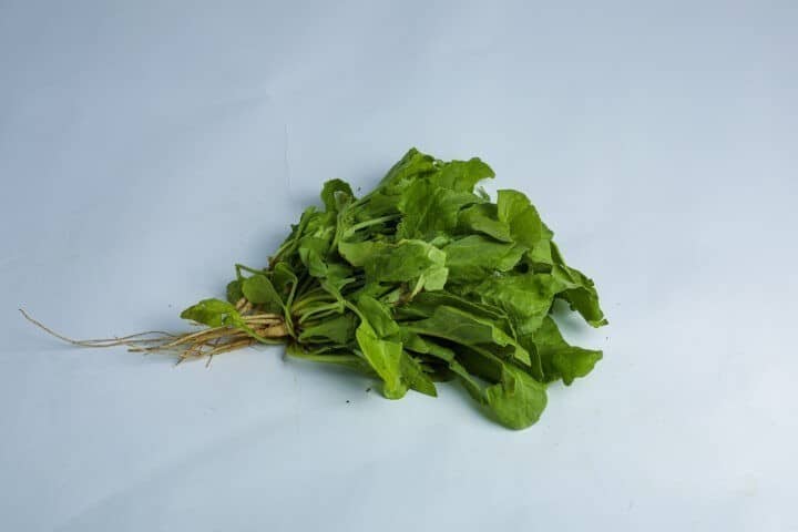 Greenspoon Kenya Baby Spinach