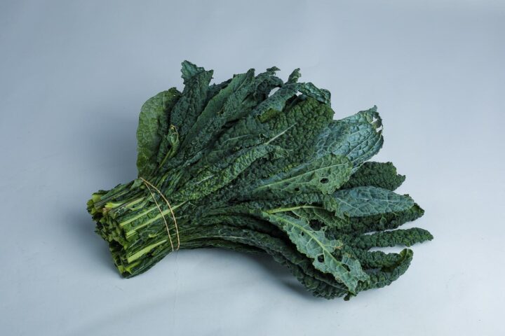 Greenspoon Kenya Black Tuscan Kale