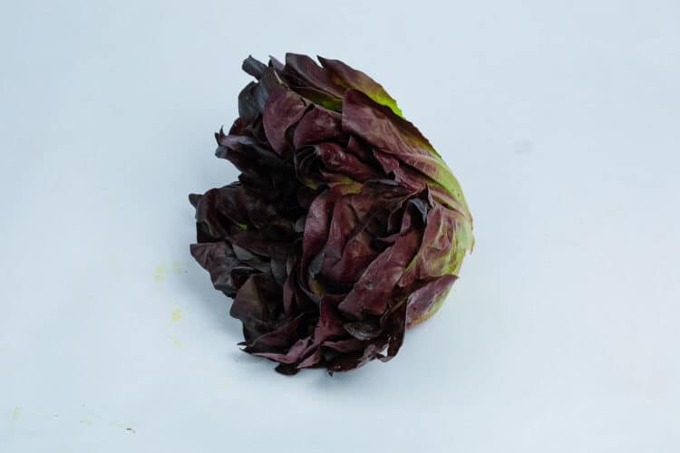 Farm Fresh (AAA) Farm Red Butterhead Lettuce Loose Greenspoon