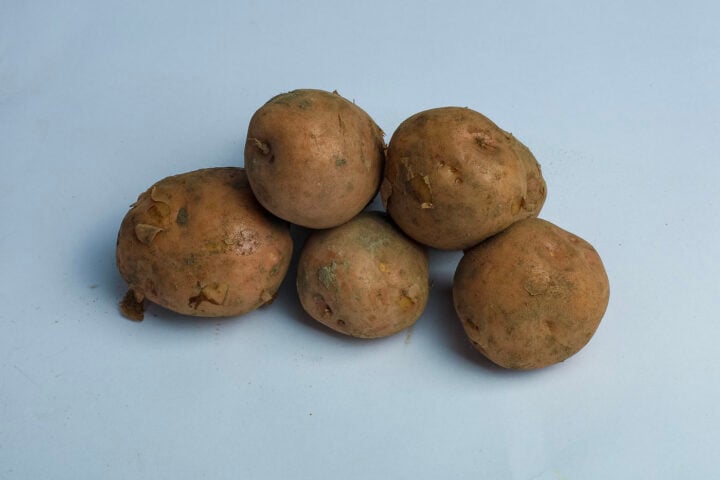 Greenspoon Kenya Red Potatoes