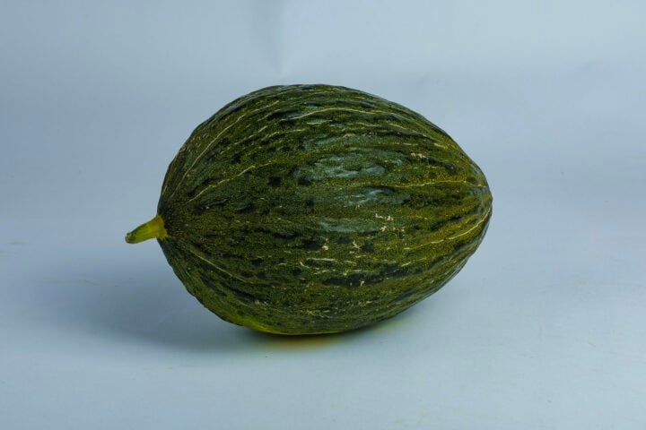 Greenspoon Kenya Ricura Piel De Sapo Melon