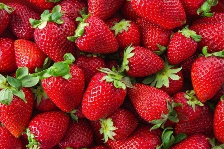 Greenspoon STrawberries