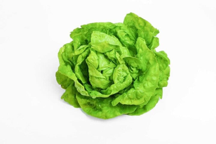 ForestFoods Certified Organic Butterhead Lettuce - Piece