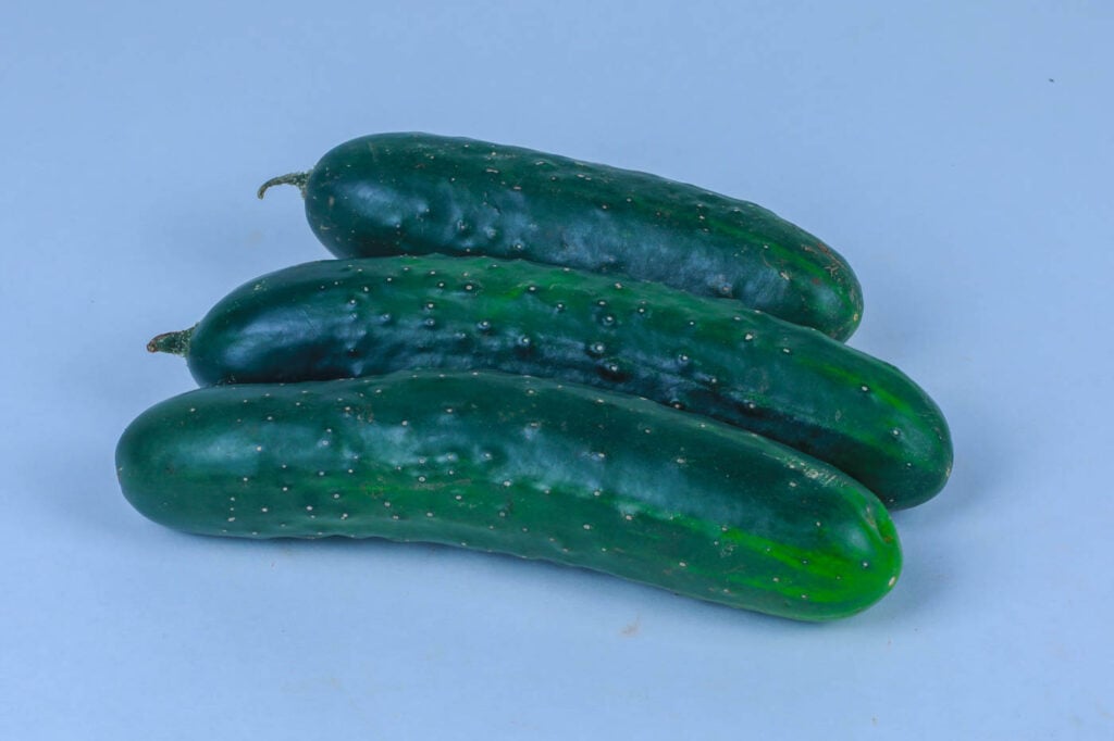 Kagira Ridge Farm Organic Local Cucumber 500g Greenspoon