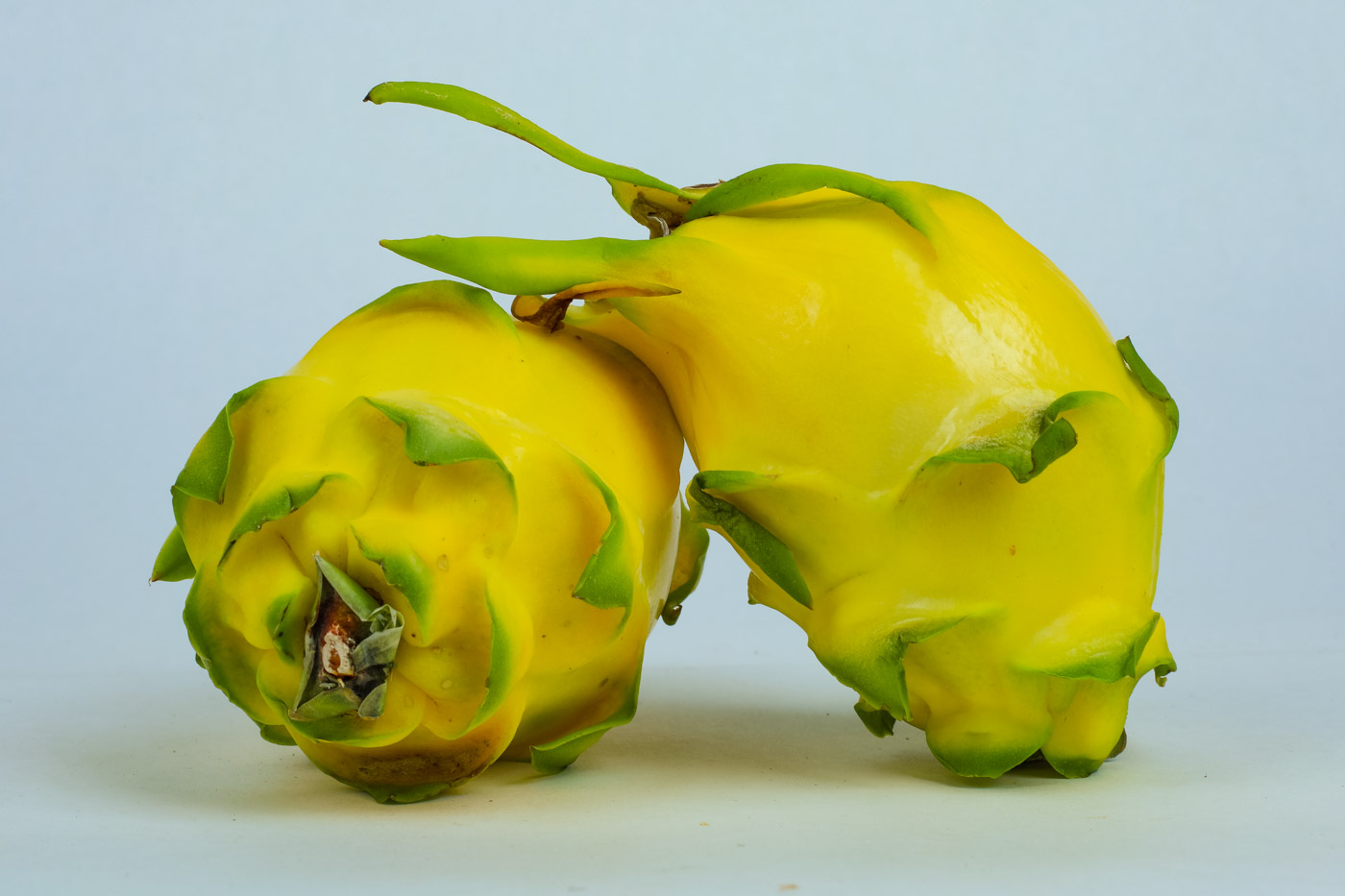 Dragon Fruit (Yellow)