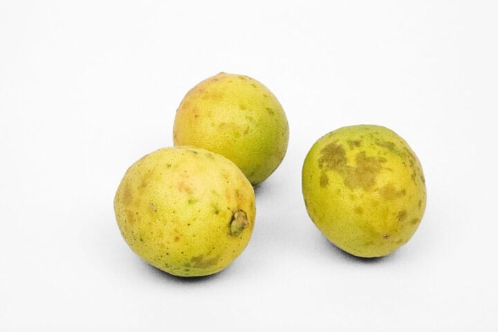 Kibwezi Organic Lemons (Tiwi Variety) - 500g