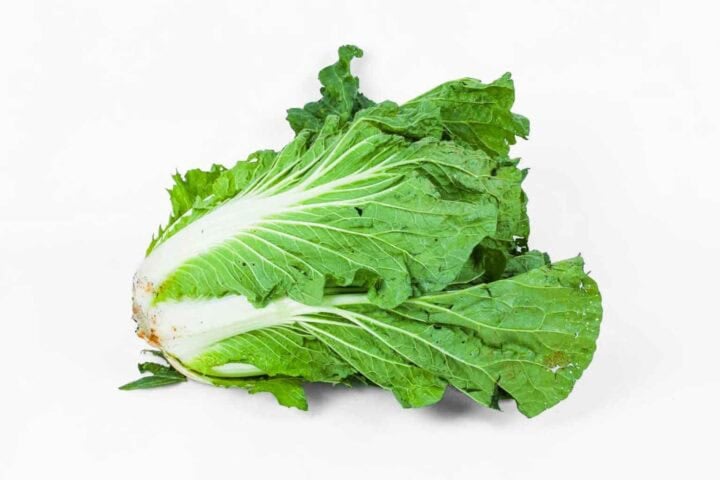 Chinese Cabbage - 1 Head