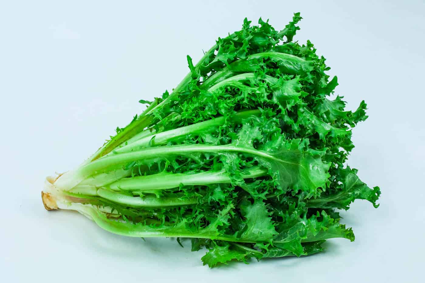 Mlango Farm Organic Frisee Lettuce 1 Piece Greenspoon