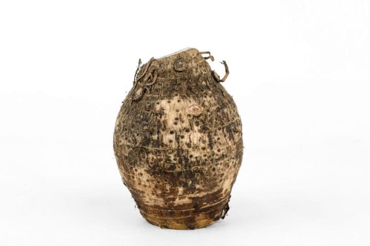 Organic Arrowroot - 1Kg