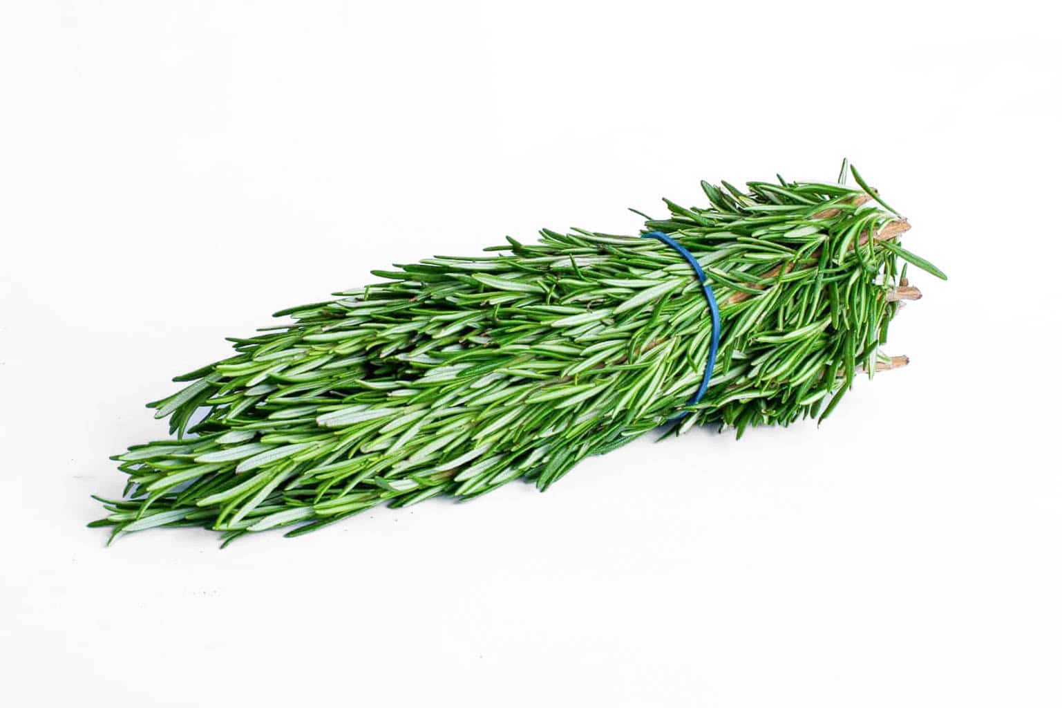 Sylvia Basket Rosemary (Bunch)