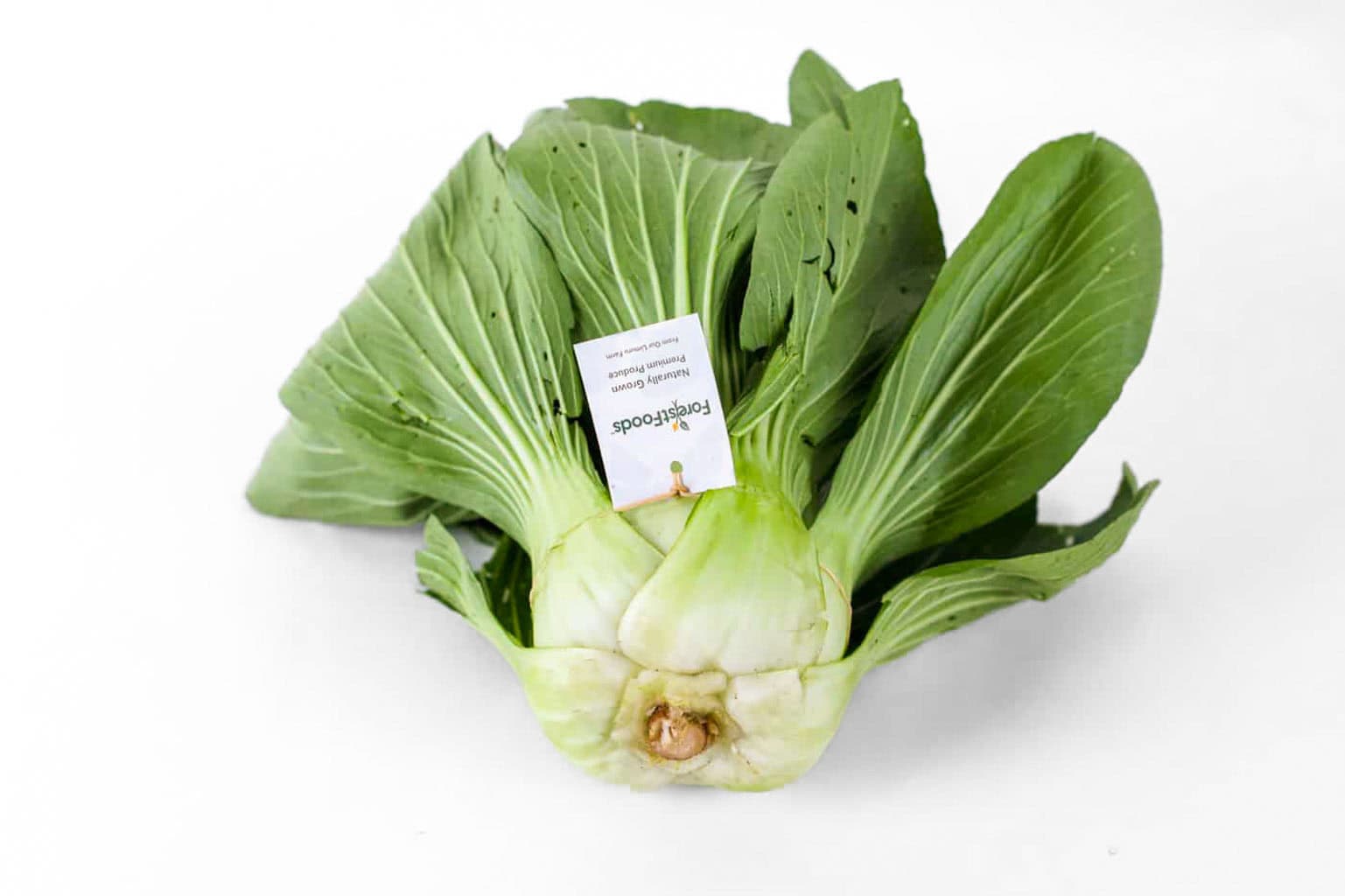 ForestFoods Certified Organic Pakchoi Head (Approx. 300g)
