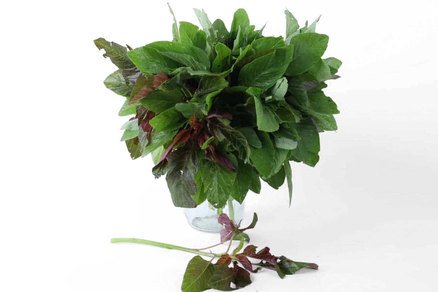 Organic Terere Bunch – 250g