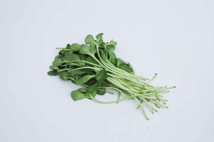Jole's Farm Kilimohai Microgreens Radish Shoots - 100g