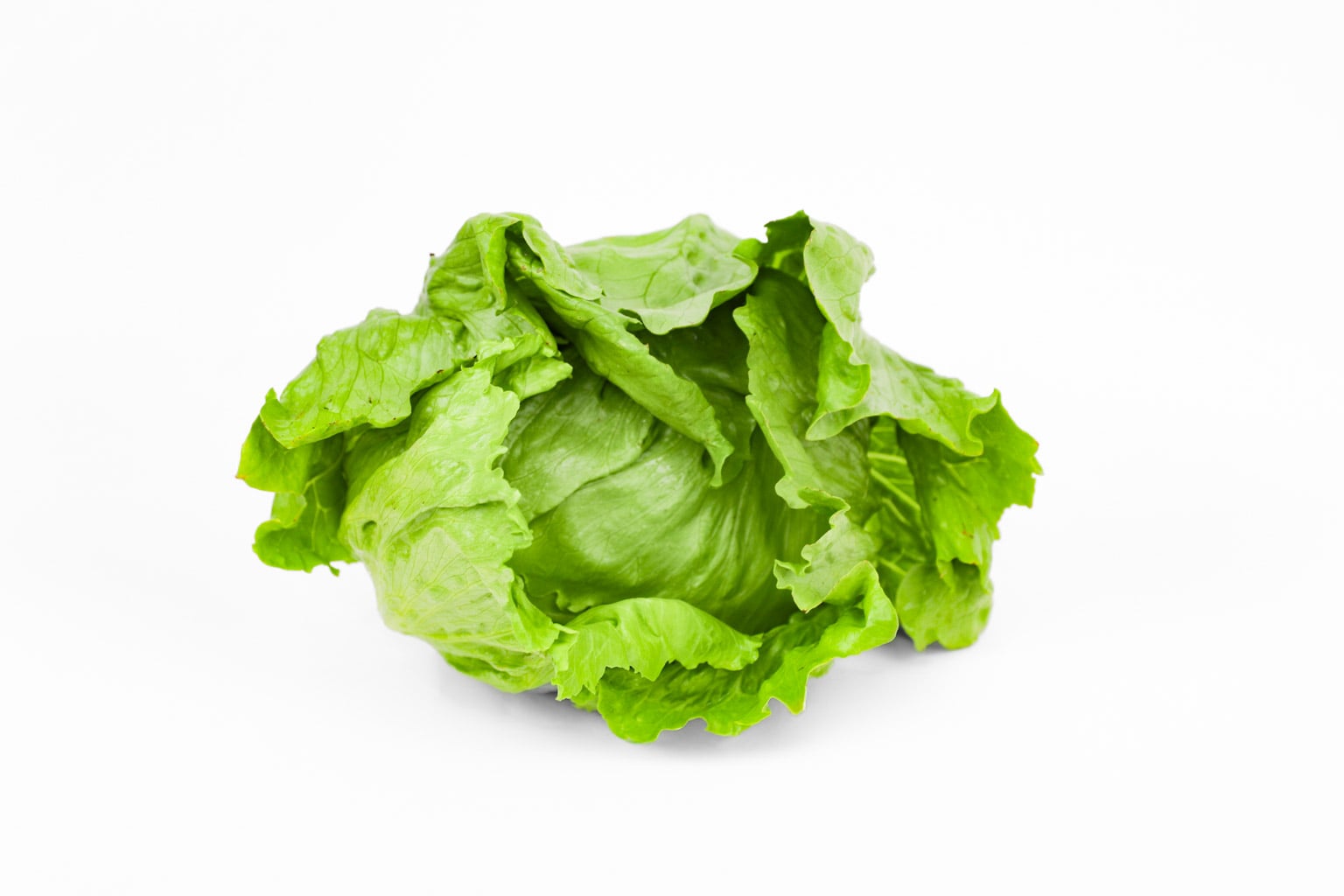 Organic (Aquaponic) Iceberg Lettuce (Head)